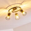 Ayen Ceiling Light black-gold, 3-light sources