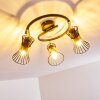 Ayen Ceiling Light black-gold, 3-light sources