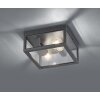 Trio GARONNE outdoor ceiling light anthracite, 2-light sources