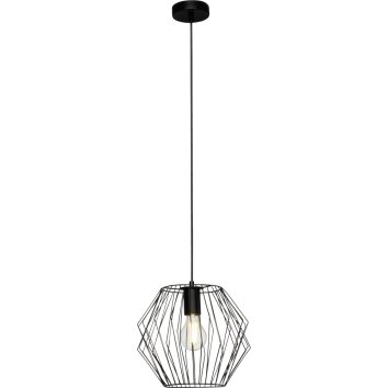Brilliant NORIS Pendant Light black, 1-light source