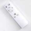 ORANKI Ceiling light LED white, 1-light source, Remote control