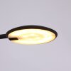 Steinhauer ZENITH Table Lamp LED black, 1-light source