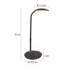 Steinhauer ZENITH Table Lamp LED black, 1-light source