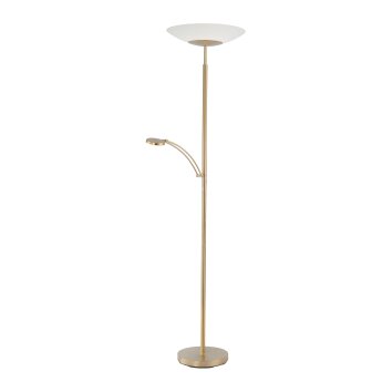 Floor Lamp Paul Neuhaus ALFRED LED brass, 1-light source
