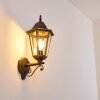 Hongkong outdoor wall light brown, gold, 1-light source