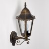 Hongkong outdoor wall light brown, gold, 1-light source