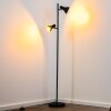 Mavas Floor Lamp black, 2-light sources