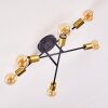 Coppet Ceiling Light black-gold, 6-light sources