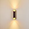 SAULCY Outdoor Wall Light LED black-gold, 2-light sources