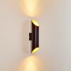 SAULCY Outdoor Wall Light LED black-gold, 2-light sources