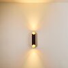 SAULCY Outdoor Wall Light LED black-gold, 2-light sources