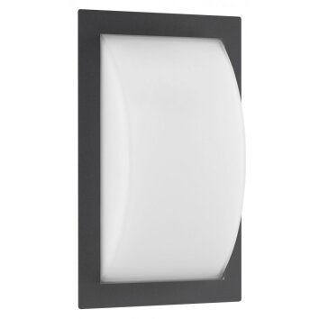 LCD outdoor wall light anthracite, 1-light source
