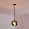 PATTERSON Pendant Light black, 1-light source