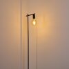 Pamunkey Floor Lamp black, 1-light source
