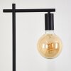 Pamunkey Floor Lamp black, 1-light source