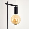Pamunkey Floor Lamp black, 1-light source