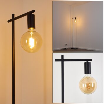 Pamunkey Floor Lamp black, 1-light source