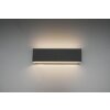 Wall Light Trio Leuchten CONCHA LED anthracite, 2-light sources
