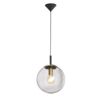 Pendant Light Fischer & Honsel living Dini black, 1-light source