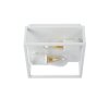 Ceiling Light Lucide CARLYN white, 2-light sources
