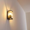 Outdoor Wall Light Skeldegaard black, 1-light source