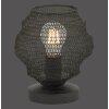 Leuchten Direkt KOKON Table Lamp black, 1-light source