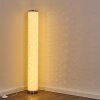 TUMBA Floor Lamp LED white, 1-light source, Remote control, Colour changer