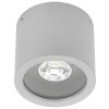 Albert 2319 Ceiling Light LED silver, 1-light source