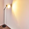 TIMOLA Floor Lamp black, white, 1-light source