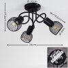CAIRNS Ceiling Light black, 3-light sources