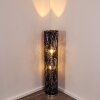 SJAELLAND Floor Lamp chrome, 2-light sources