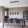 Pendant Light Trio Leuchten ROBIN black, 4-light sources