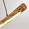 WINTERTHUR Pendant Light LED Light wood, black, 1-light source