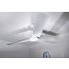 Globo FERRO fan white
