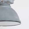 Steinhauer MEXLITE Pendant Light grey, 1-light source