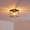 IBUSUKI Ceiling Light black, 1-light source