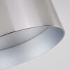 BARABOO Ceiling Light LED matt nickel, 2-light sources