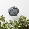 Brilliant NYX outdoor wall light LED anthracite, 1-light source