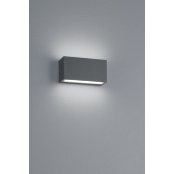 Trio TRENT Outdoor Wall Light LED anthracite, 1-light source