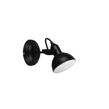 Reality GINA Spotlight black, 1-light source