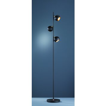 Trio DAKOTA Floor Lamp black, 3-light sources