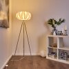 ZOBUS Floor Lamp matt nickel, 1-light source