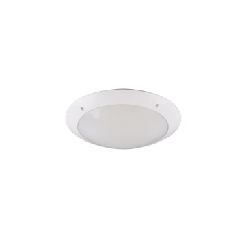 Reality CAMARO Outdoor Ceiling Light white, 2-light sources