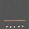 Leuchten-Direkt DAMIAN Pendant Light black, 5-light sources