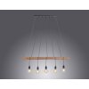 Leuchten-Direkt DAMIAN Pendant Light black, 5-light sources