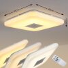 Lumsden ceiling light LED grey, 1-light source, Remote control