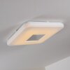 Lumsden ceiling light LED grey, 1-light source, Remote control