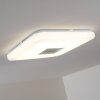 Lumsden ceiling light LED grey, 1-light source, Remote control