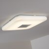 Lumsden ceiling light LED grey, 1-light source, Remote control