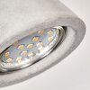 Osco Ceiling Light LED grey, 4-light sources